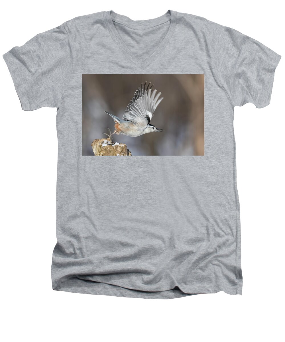 Nuthatch Men's V-Neck T-Shirt featuring the photograph Nuthatch in Action by Mircea Costina Photography