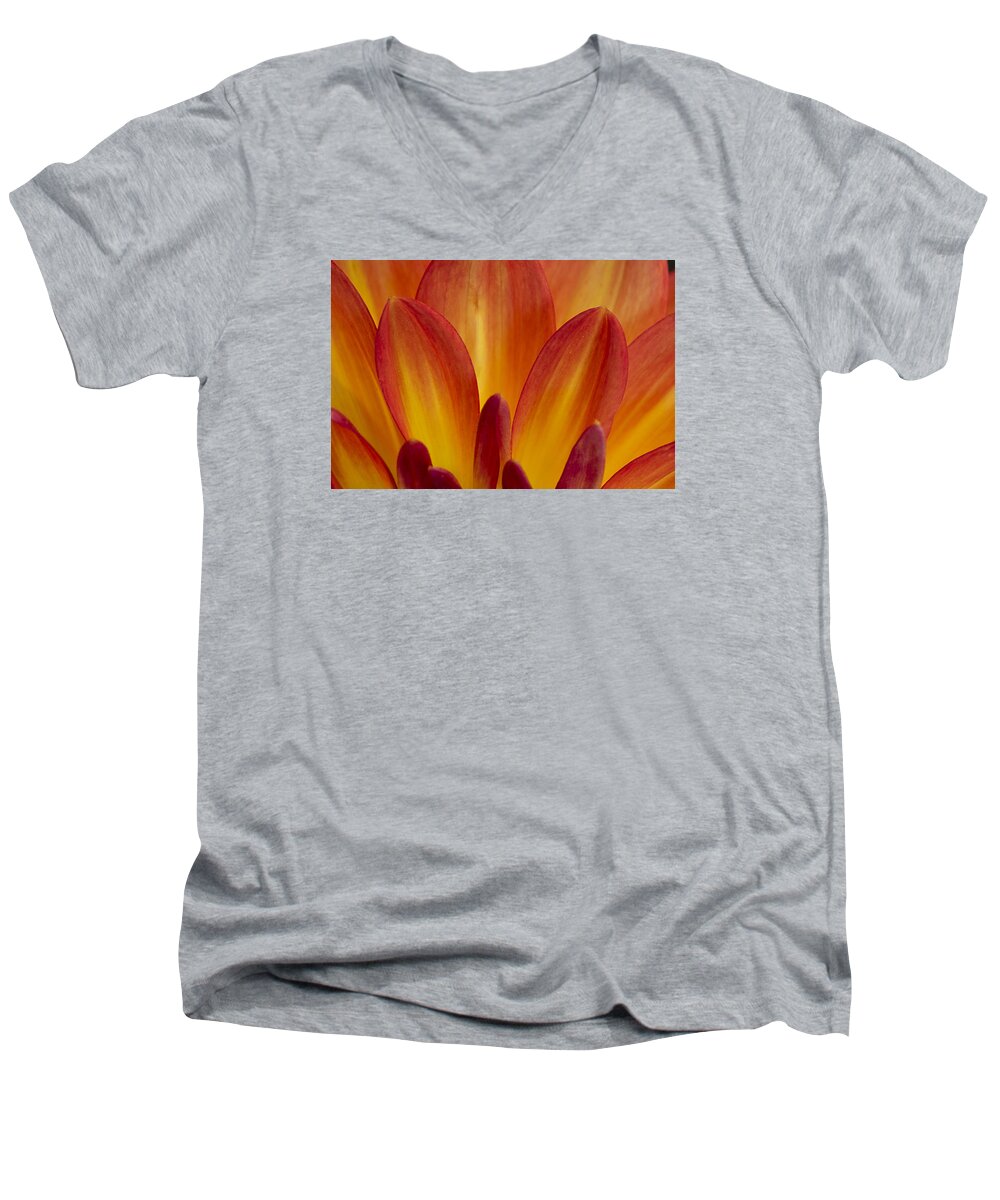 Orange Men's V-Neck T-Shirt featuring the photograph Orange Dahlia Petals by Morgan Wright