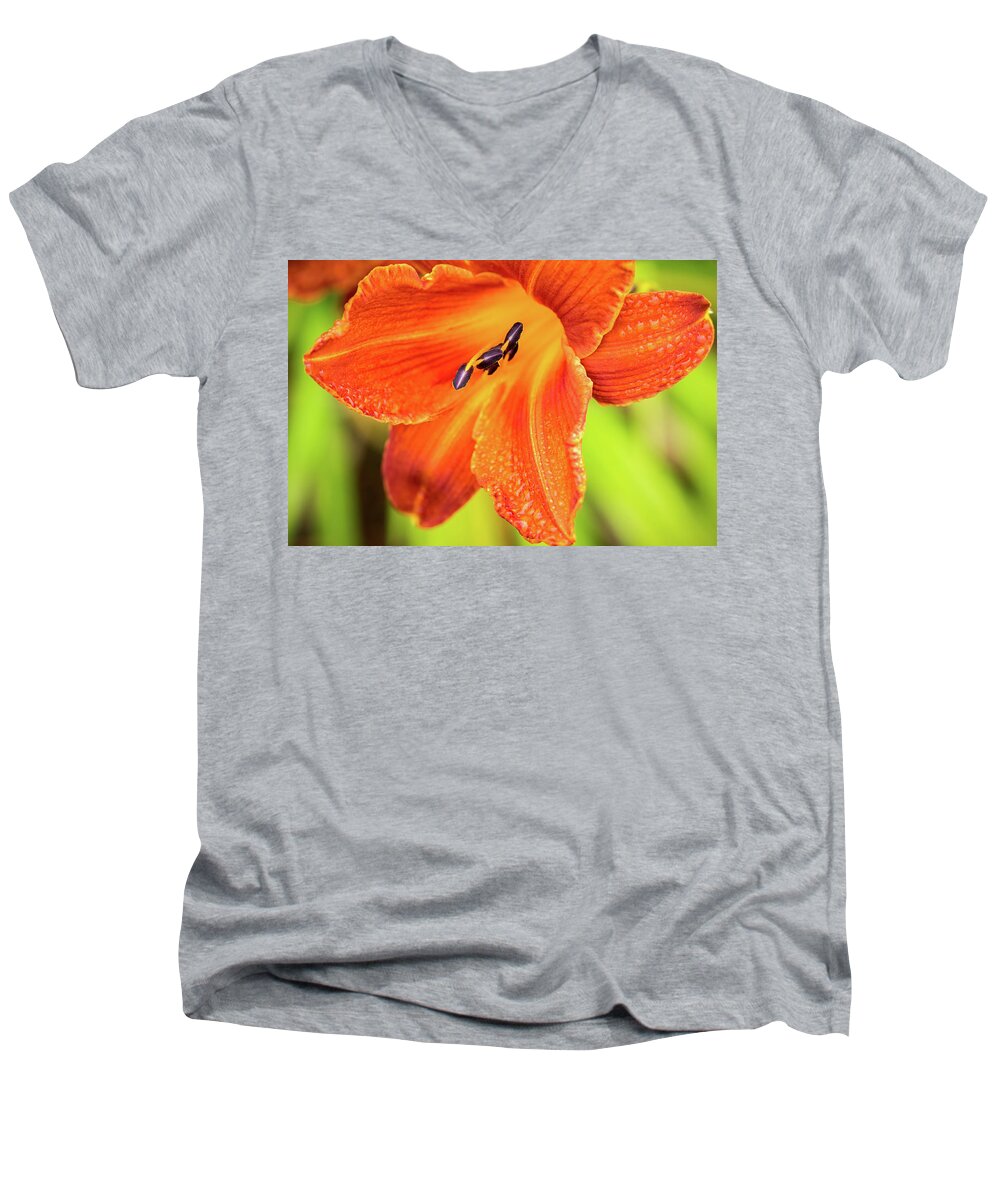 Plant Men's V-Neck T-Shirt featuring the photograph Orange Lilly of the Morning by Ken Stanback