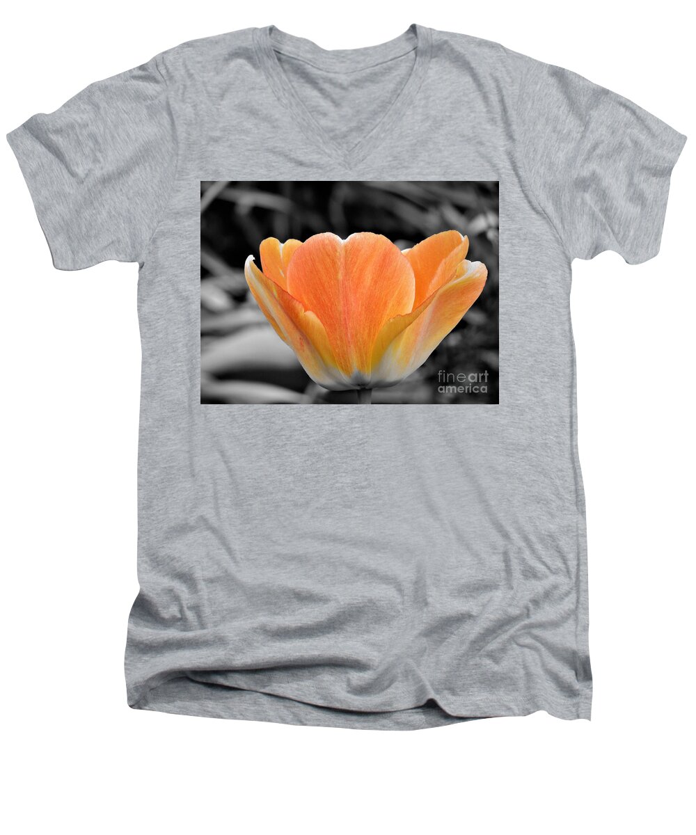 Tulip Men's V-Neck T-Shirt featuring the photograph Orange Tea Cup Tulip by Chad and Stacey Hall
