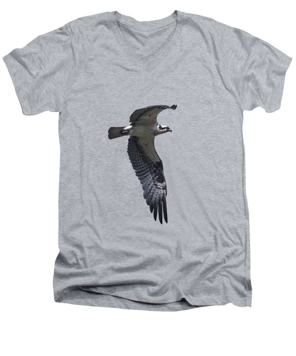 Osprey In Flight Men's V-Neck T-Shirt featuring the photograph Osprey in Flight 2 by Priscilla Burgers