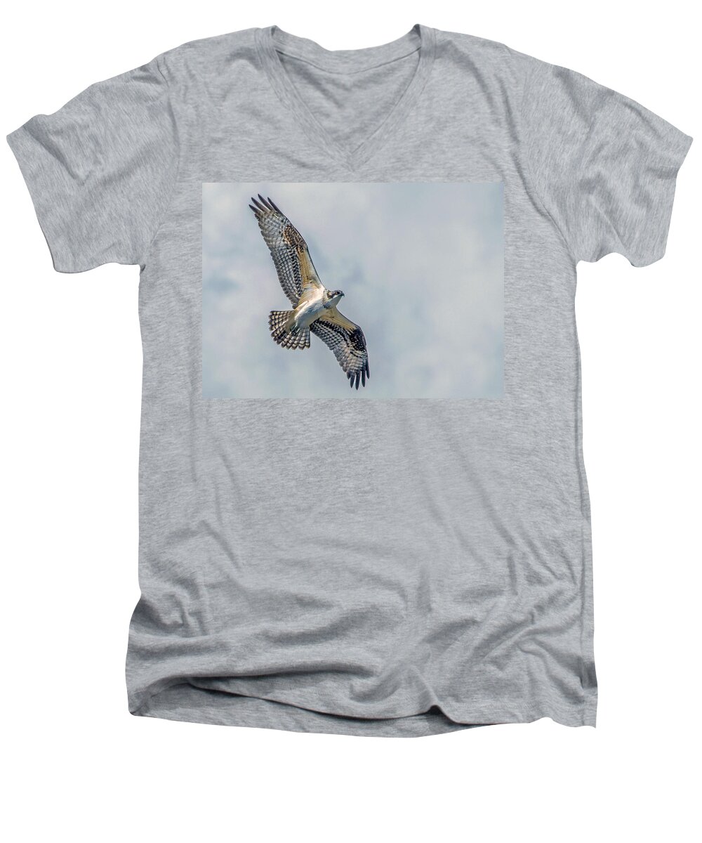 Osprey Men's V-Neck T-Shirt featuring the photograph Osprey in Flight by Dawn Key