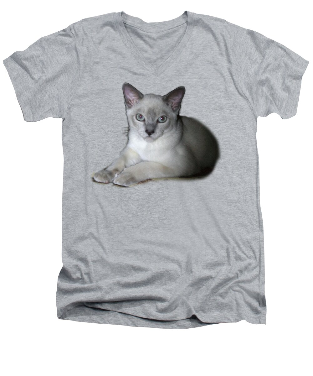 Nature Men's V-Neck T-Shirt featuring the photograph Our Little Angel by Linda Phelps