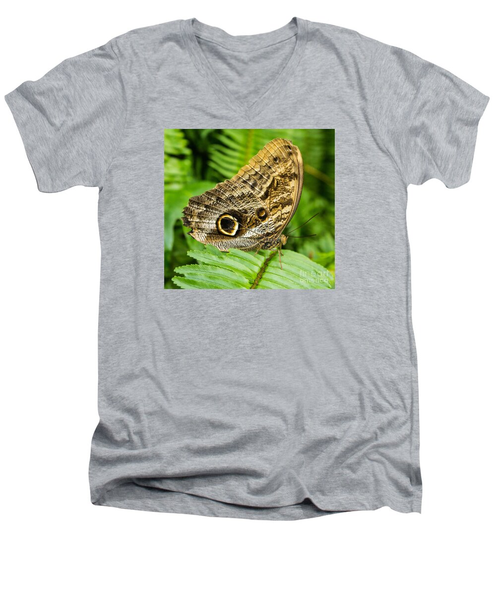 Butterfly Wings Men's V-Neck T-Shirt featuring the photograph Owl Butterfly by Steven Parker