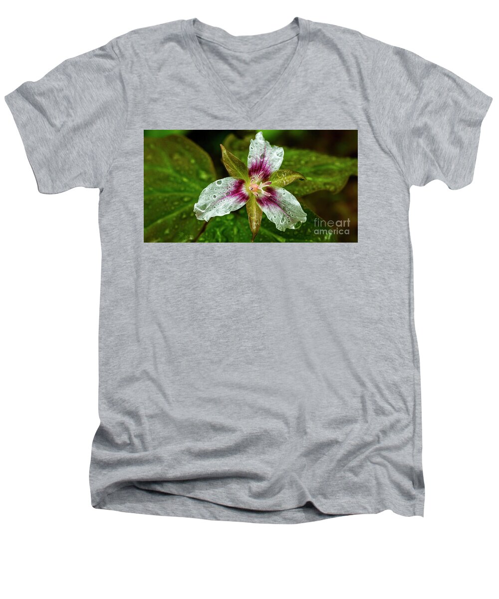 Painted Trillium Men's V-Neck T-Shirt featuring the photograph Painted Trillium with Raindrops by Thomas R Fletcher