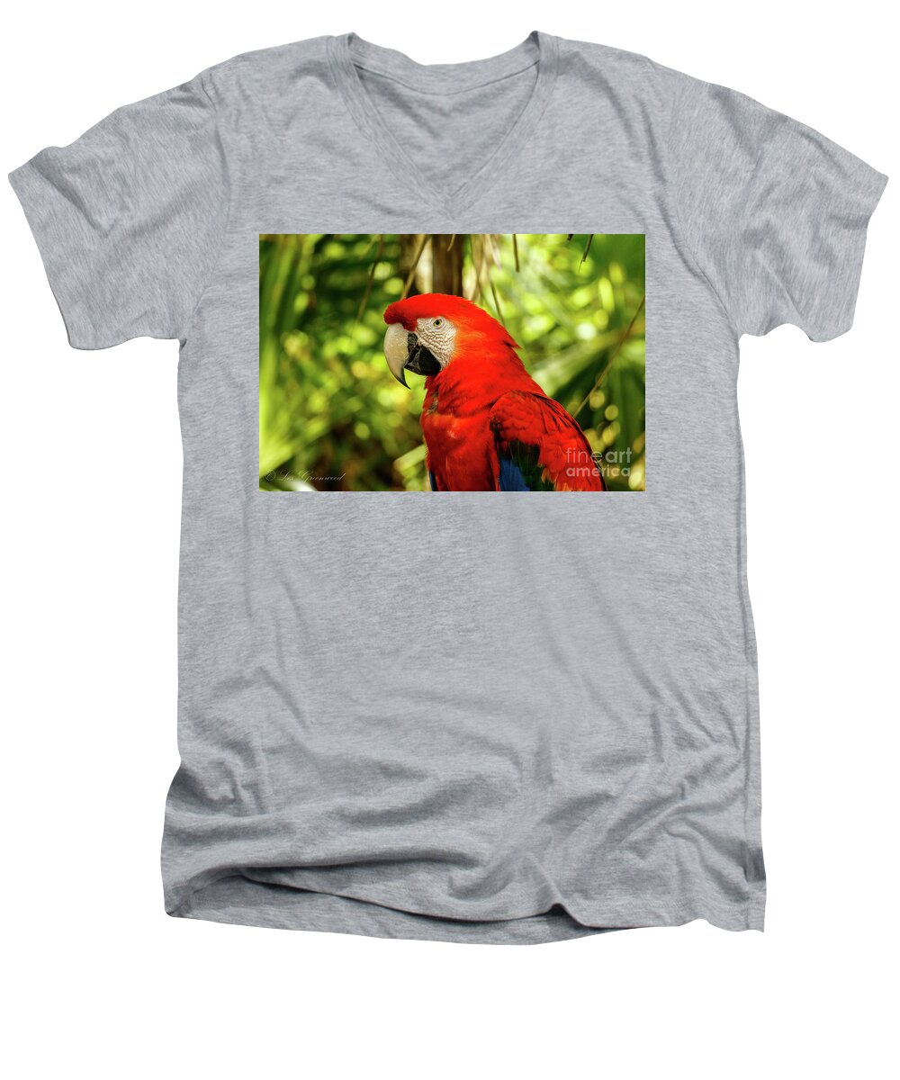 Parrot Men's V-Neck T-Shirt featuring the photograph Parrot by Les Greenwood