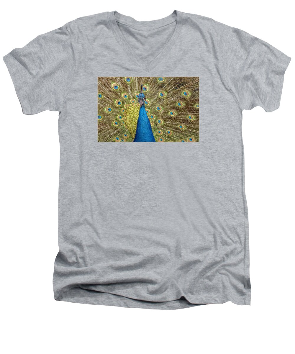 Peacock Men's V-Neck T-Shirt featuring the photograph Peacock Splendor by William Bitman
