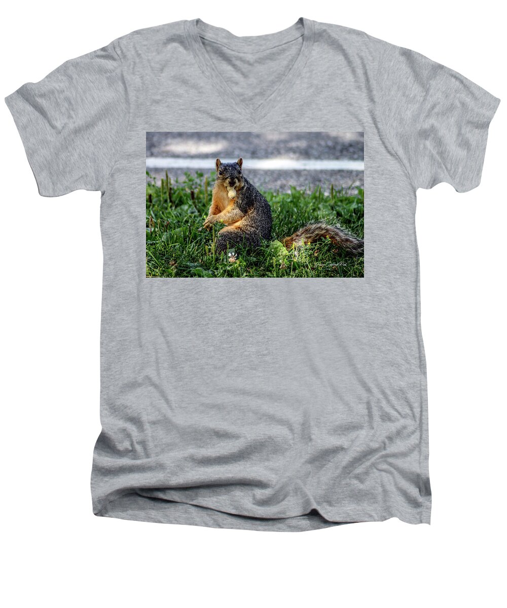 Brown Squirrel Men's V-Neck T-Shirt featuring the photograph Peanut by Joann Copeland-Paul