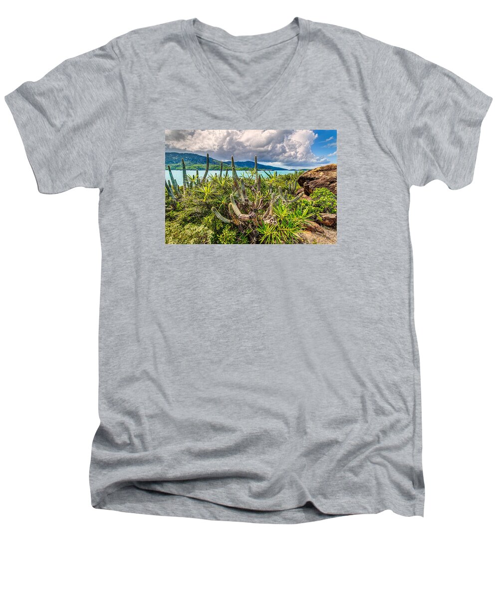 Cactus Men's V-Neck T-Shirt featuring the photograph Peterborg Cactus by Gary Felton