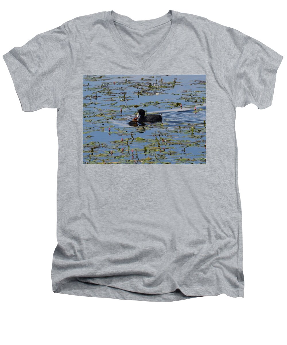 Animal Men's V-Neck T-Shirt featuring the photograph Pied Billed Grebe Lake John SWA CO by Margarethe Binkley