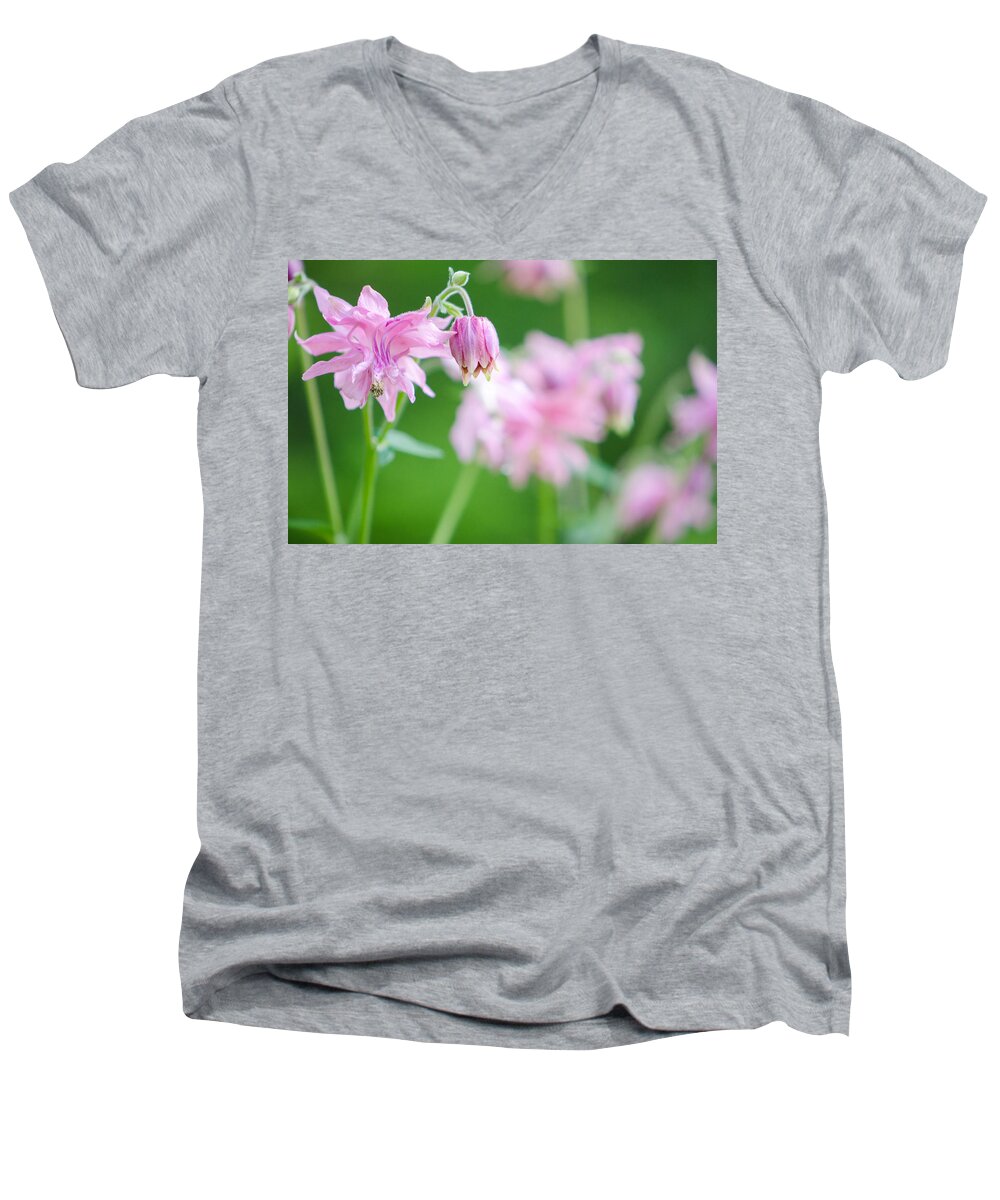 Pink Columbine Men's V-Neck T-Shirt featuring the photograph Pink Columbine by Kristin Hatt