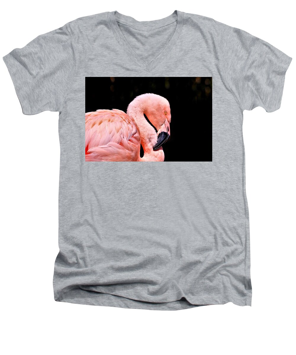Nature Men's V-Neck T-Shirt featuring the photograph Pink Flamingo on Black by Sheila Brown