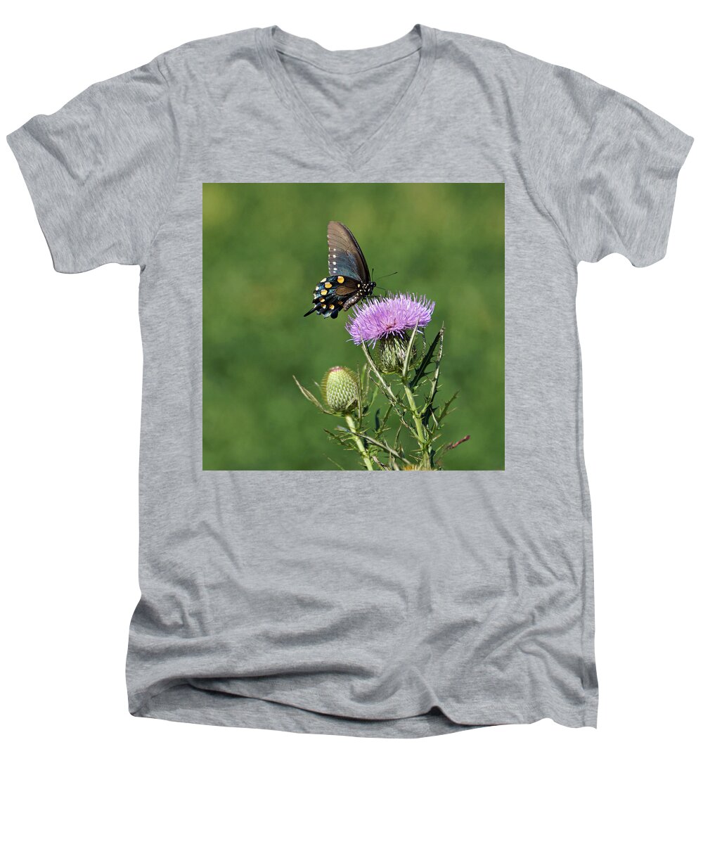 Butterfly Men's V-Neck T-Shirt featuring the photograph Pipevine Swallowtail by Sandy Keeton