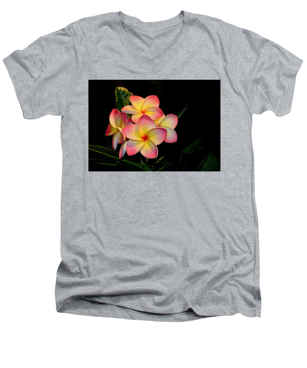 Plumeria Men's V-Neck T-Shirt featuring the photograph Plumeria by Living Color Photography Lorraine Lynch