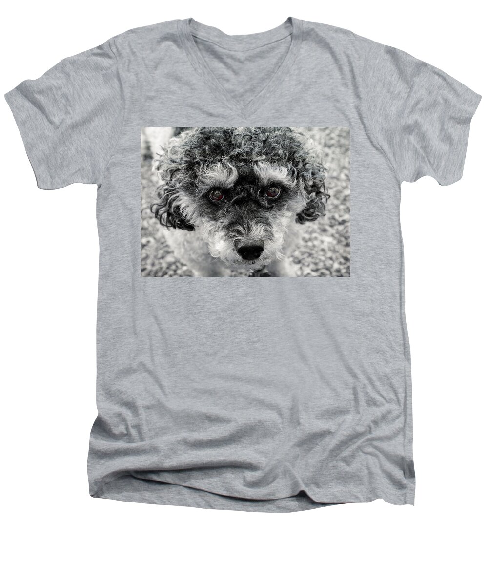 Pet Men's V-Neck T-Shirt featuring the photograph Poodle Eyes by Keith Armstrong