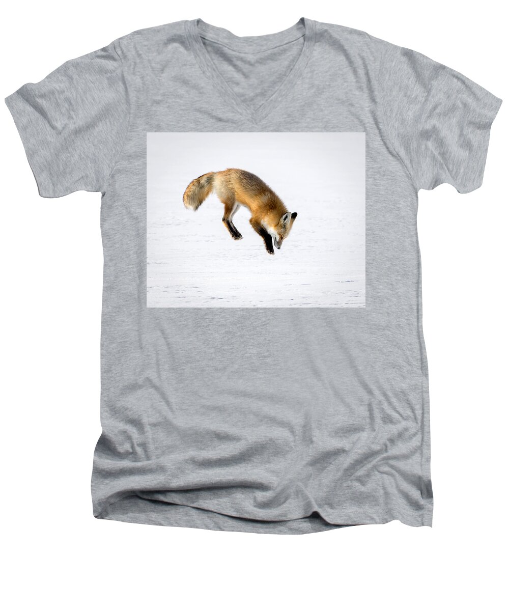 Red Fox Men's V-Neck T-Shirt featuring the photograph Pounce by Jack Bell
