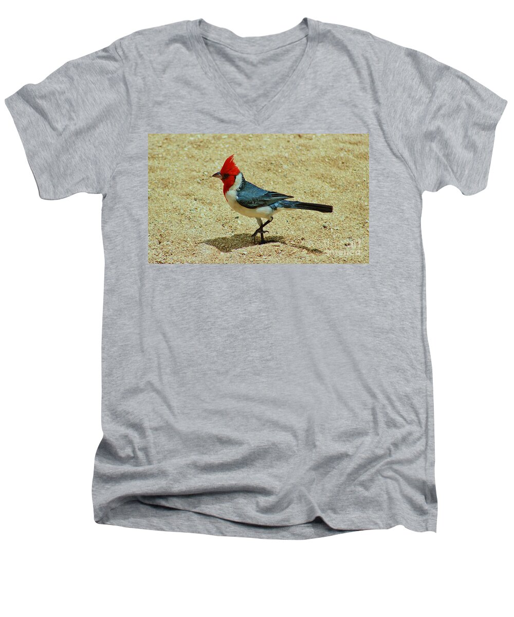Red-crested Cardinal Men's V-Neck T-Shirt featuring the photograph Prancing Brazil Cardinal by Craig Wood