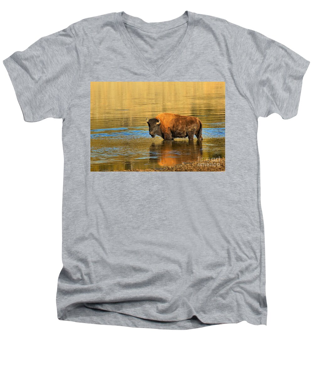 Bison Men's V-Neck T-Shirt featuring the photograph Preparing To Swim The Yellowstone by Adam Jewell