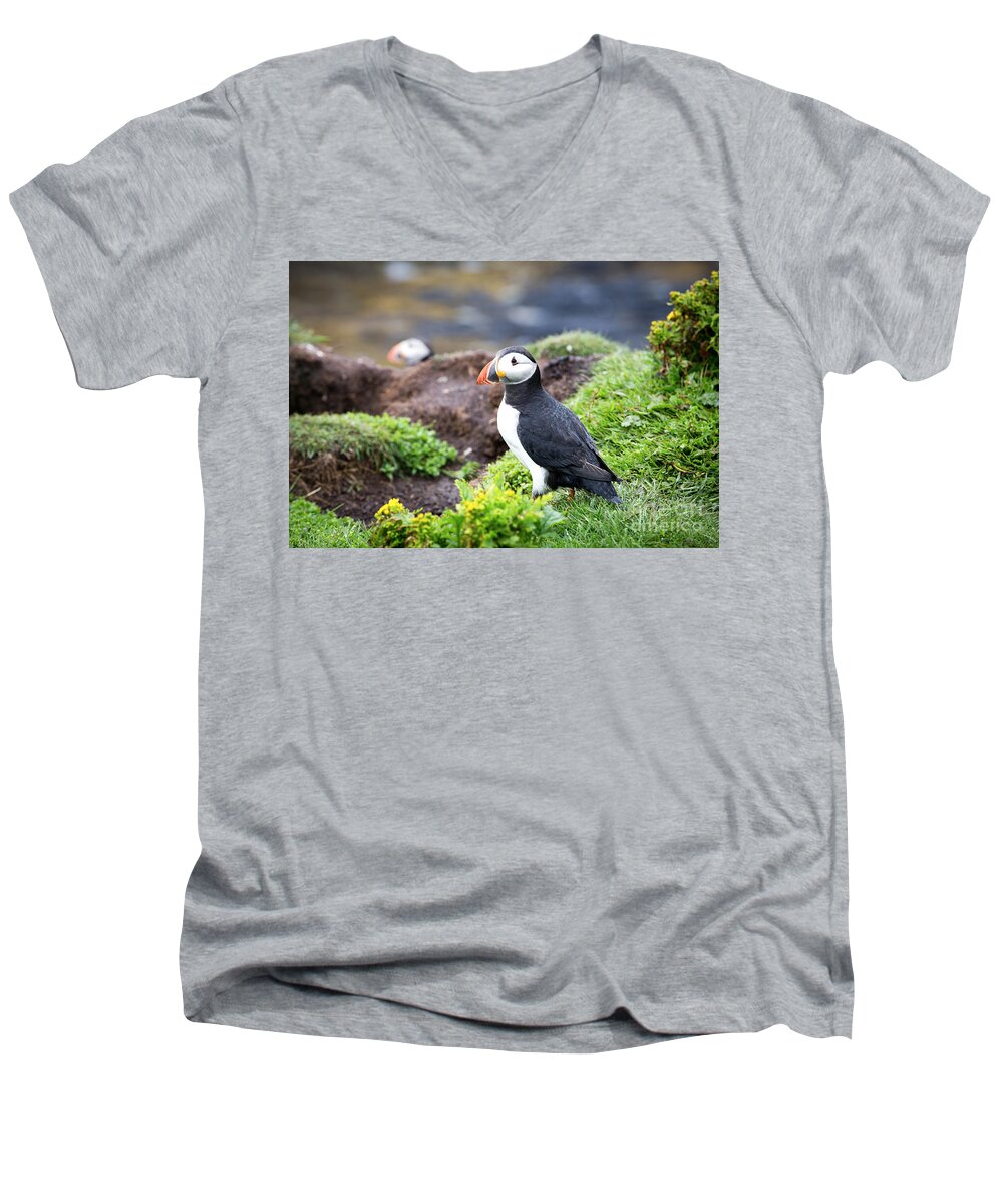 Puffin Men's V-Neck T-Shirt featuring the photograph Puffin by Jane Rix