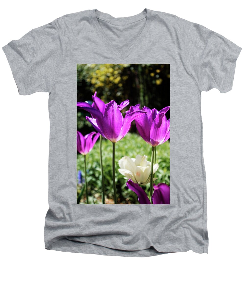 Sharon Popek Men's V-Neck T-Shirt featuring the photograph Purple Cups by Sharon Popek