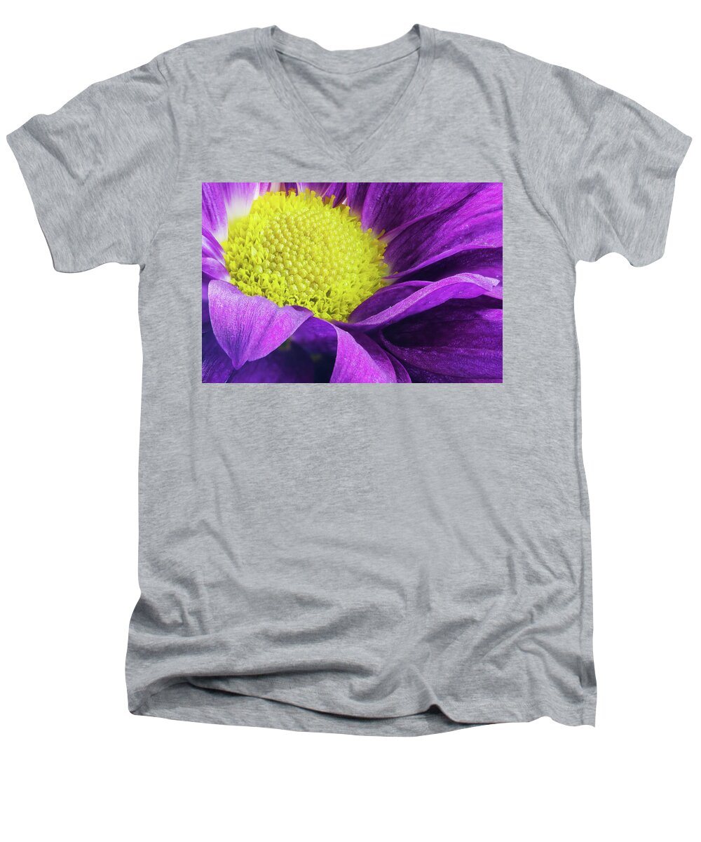 Daisy Men's V-Neck T-Shirt featuring the photograph Purple Daisy in the Garden by Tammy Ray