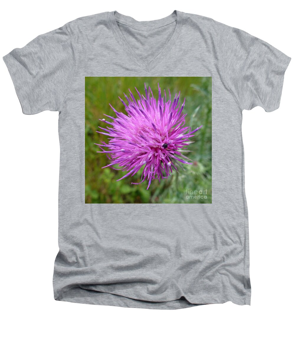 Beautiful Men's V-Neck T-Shirt featuring the photograph Purple Dandelions 2 by Jean Bernard Roussilhe