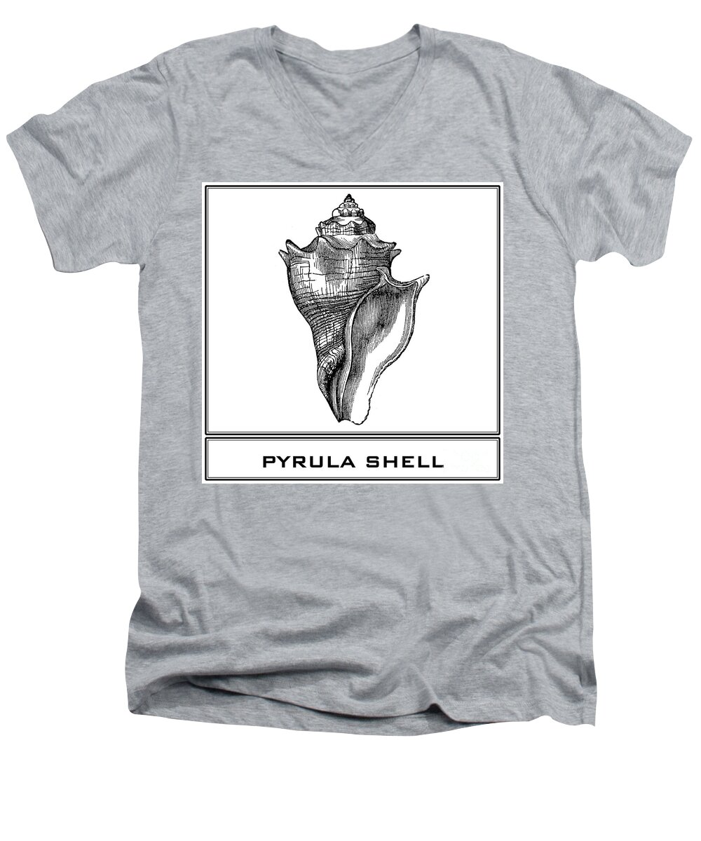 Pyrula Shell Men's V-Neck T-Shirt featuring the digital art Pyrula Shell by Scott and Dixie Wiley