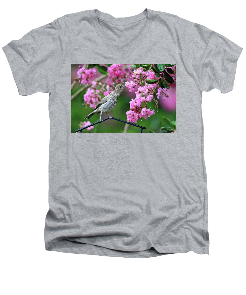 Birds Men's V-Neck T-Shirt featuring the photograph Reach For It by Trina Ansel