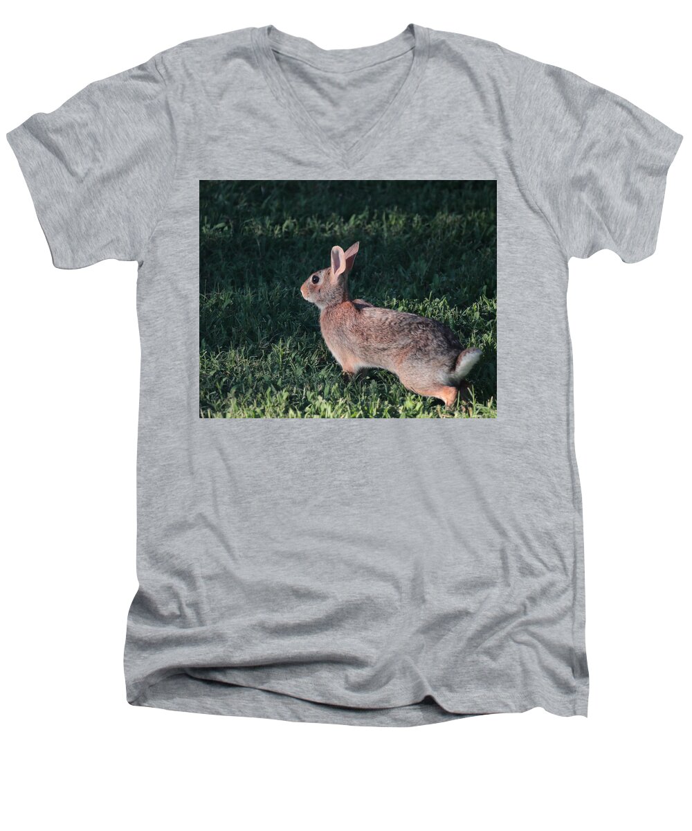 Rabbit Men's V-Neck T-Shirt featuring the photograph Ready to Run by John Moyer