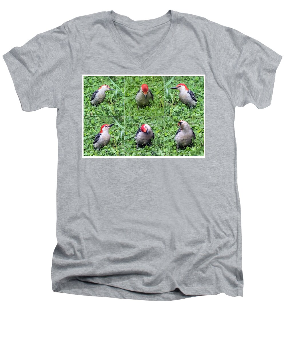 Animal Men's V-Neck T-Shirt featuring the photograph Red-bellied Woodpecker Posing In The Grass by William Bitman