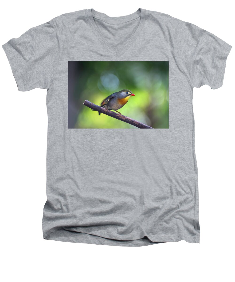 Red Billed Leiothrix Men's V-Neck T-Shirt featuring the photograph Red Billed Leiothrix by John Poon
