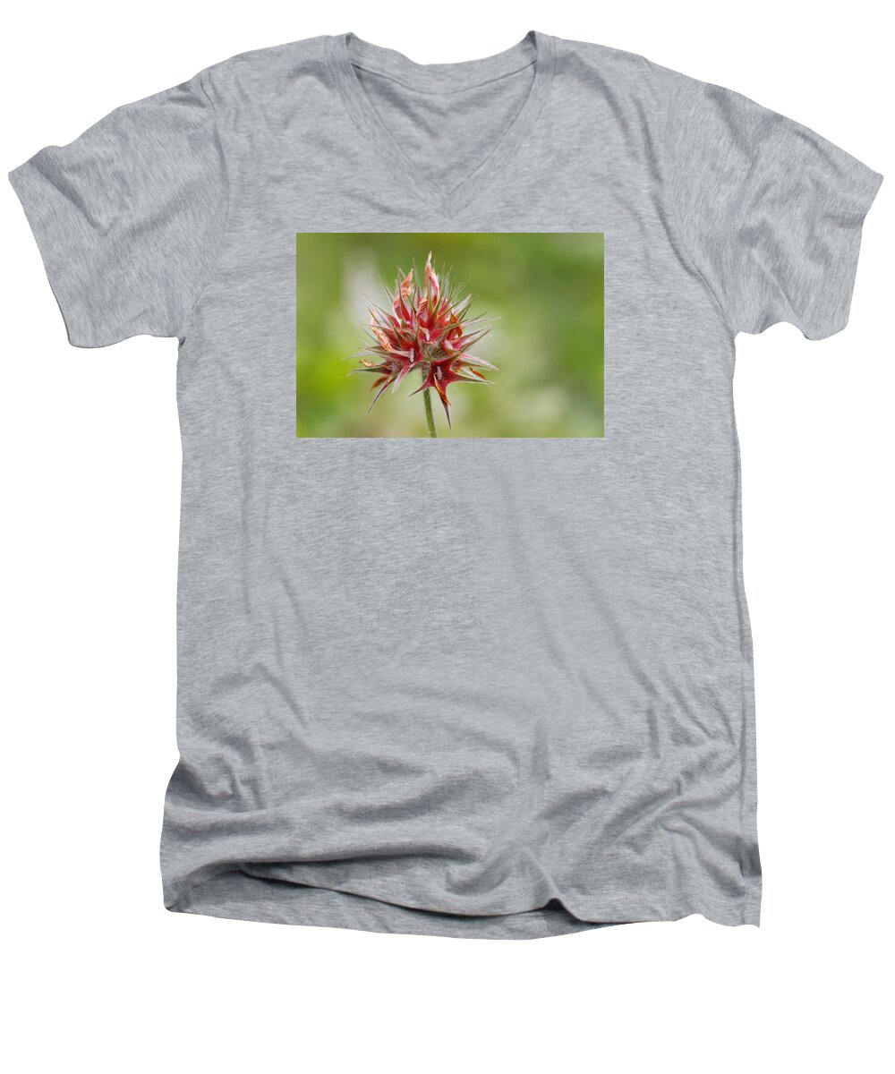 Red Men's V-Neck T-Shirt featuring the photograph Red Clover by Richard Patmore