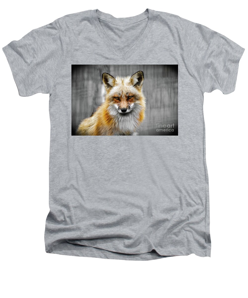 Fox Men's V-Neck T-Shirt featuring the photograph Red fox portrait by Sam Rino