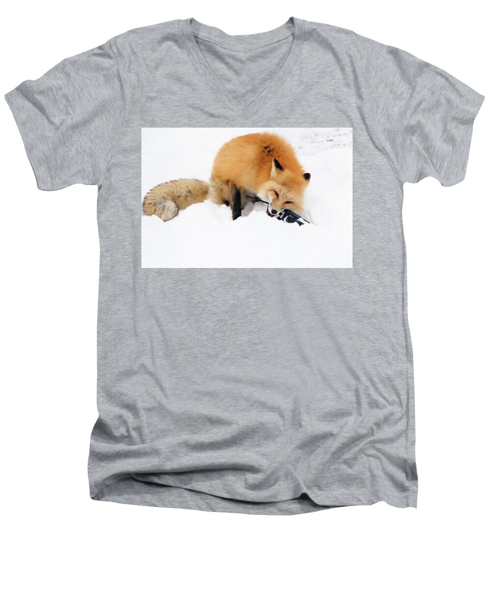 Animal Men's V-Neck T-Shirt featuring the photograph Red Fox to Base by Joni Eskridge