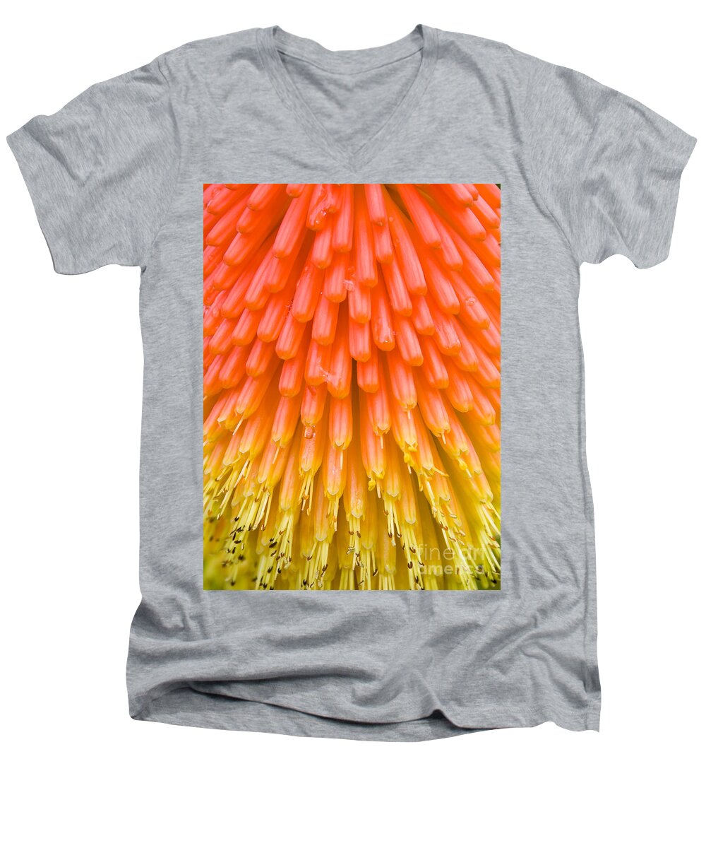 Flowers Men's V-Neck T-Shirt featuring the photograph Red Hot Poker flower close up by Colin Rayner