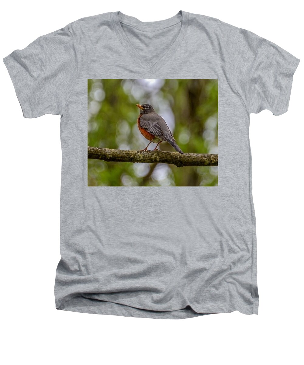 Robin Men's V-Neck T-Shirt featuring the photograph Red robin by Jerry Cahill