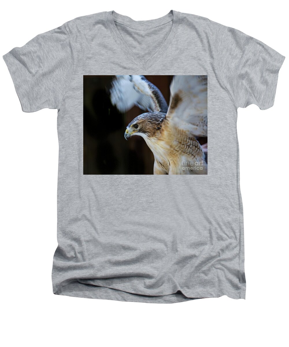 Birds Of Prey Men's V-Neck T-Shirt featuring the photograph Red-shouldered Hawk No.2 by John Greco