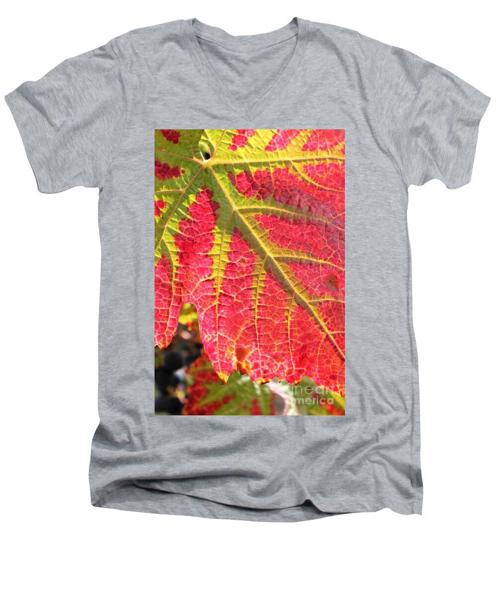 Red Vine Leaf Leaves Red Veins Close Up Detail Men's V-Neck T-Shirt featuring the photograph Red Vine Leaf by Julia Gavin