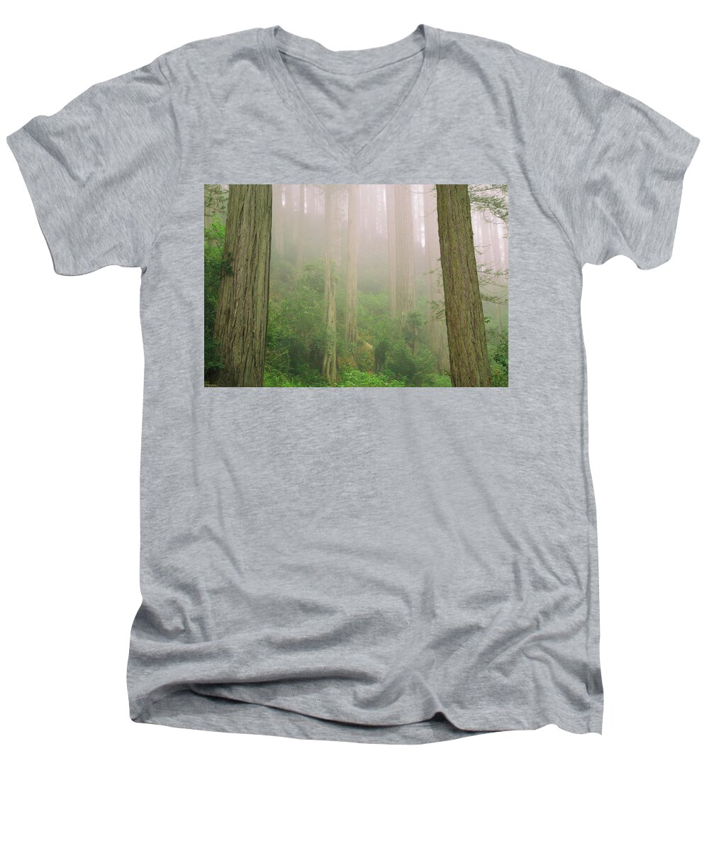 Redwoods Fog Men's V-Neck T-Shirt featuring the photograph Redwoods fog by Kunal Mehra
