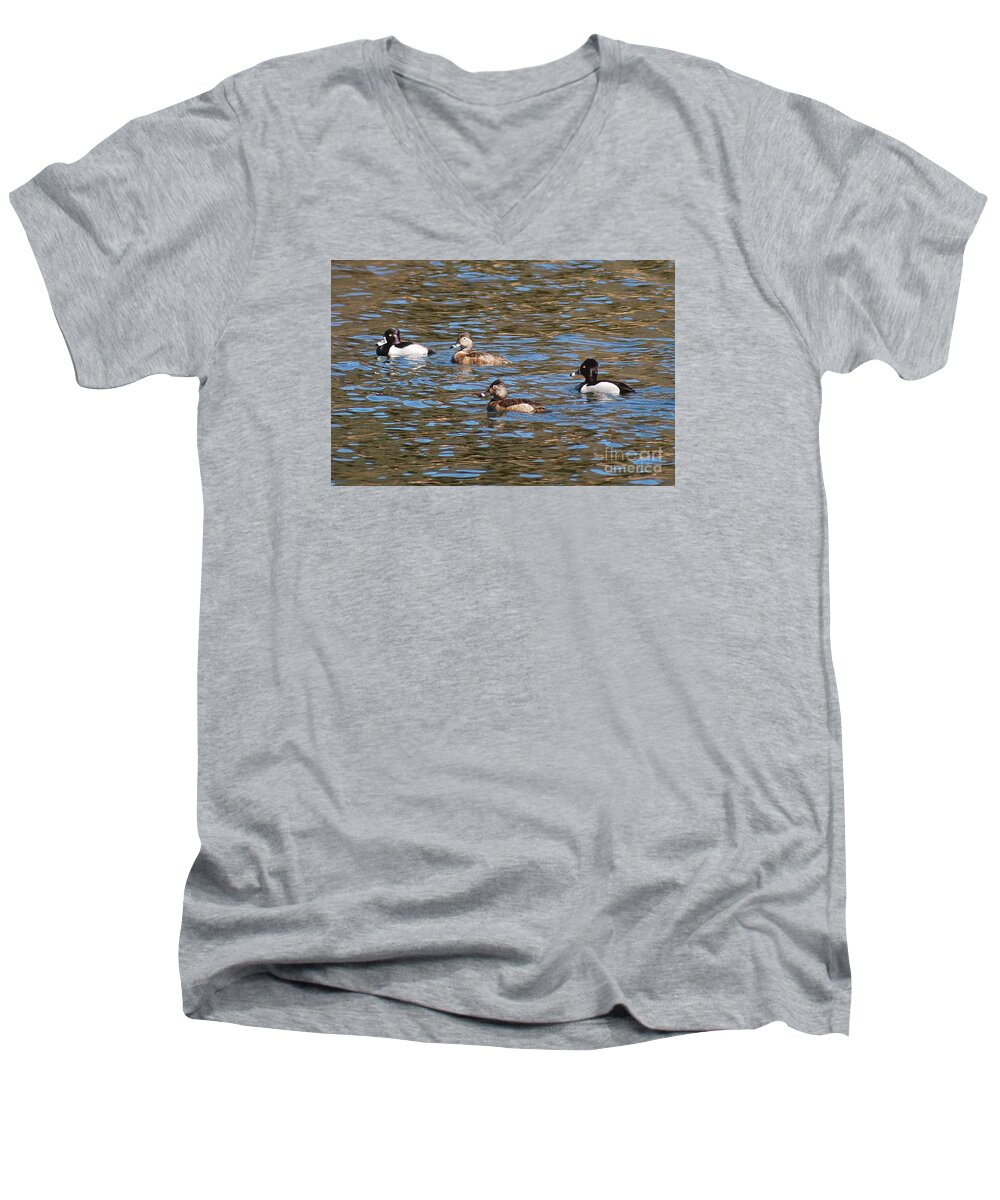 Ring Necks Men's V-Neck T-Shirt featuring the photograph Ring Neck Ducks 20120314_D by Tina Hopkins