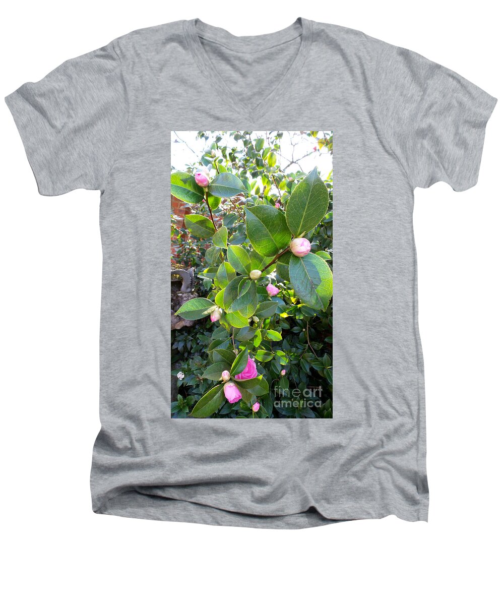 Photography Men's V-Neck T-Shirt featuring the photograph Rose Bush by Francesca Mackenney