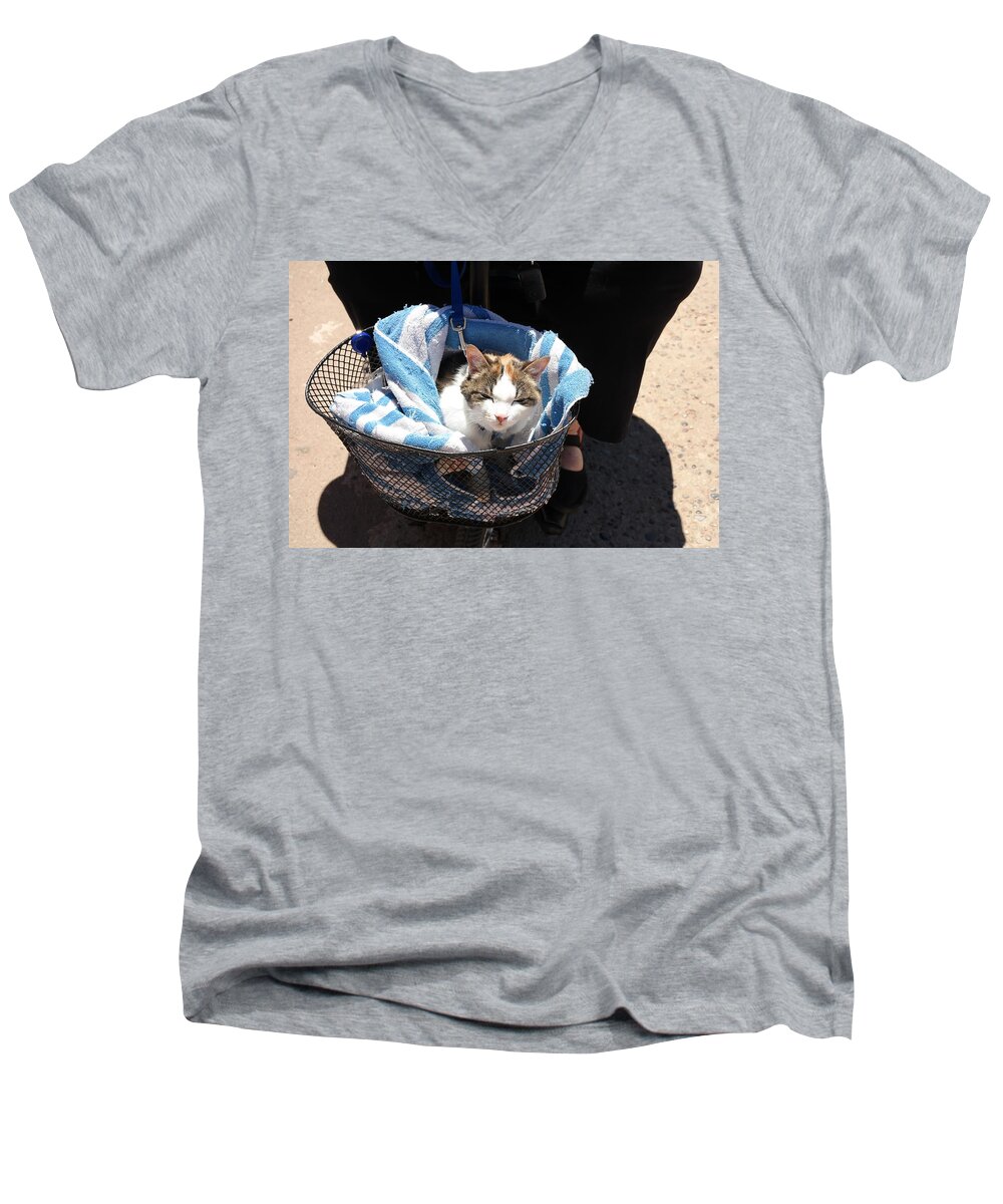  Men's V-Neck T-Shirt featuring the photograph Royal Carriage by Carl Wilkerson