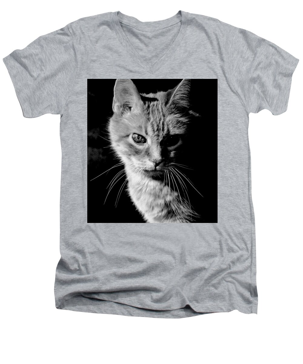 Cat Men's V-Neck T-Shirt featuring the photograph Rustie, Blind, Deaf Extroadinaire Black and White by Antonia Citrino