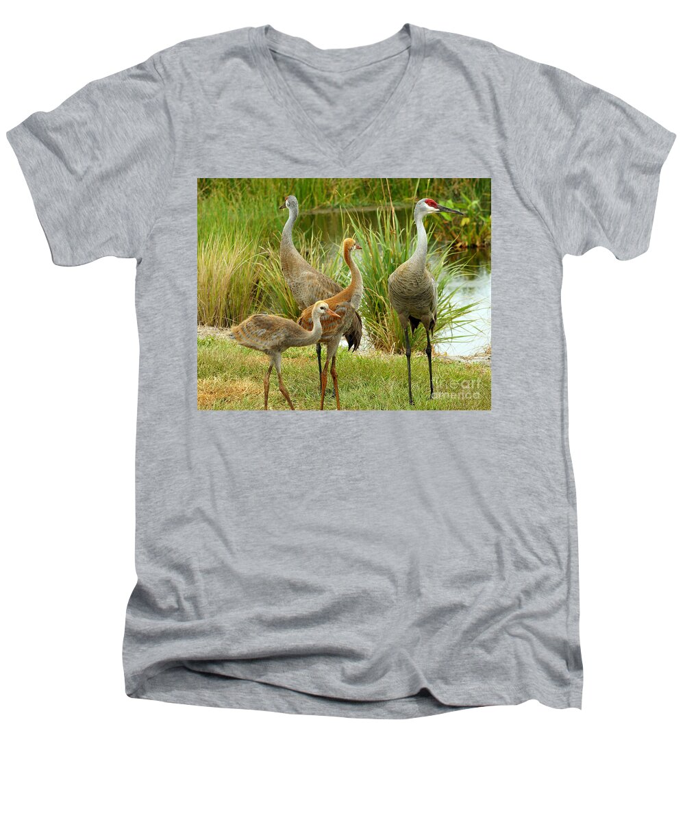 Sandhill Cranes Men's V-Neck T-Shirt featuring the photograph Sandhill Cranes On Alert by Larry Nieland