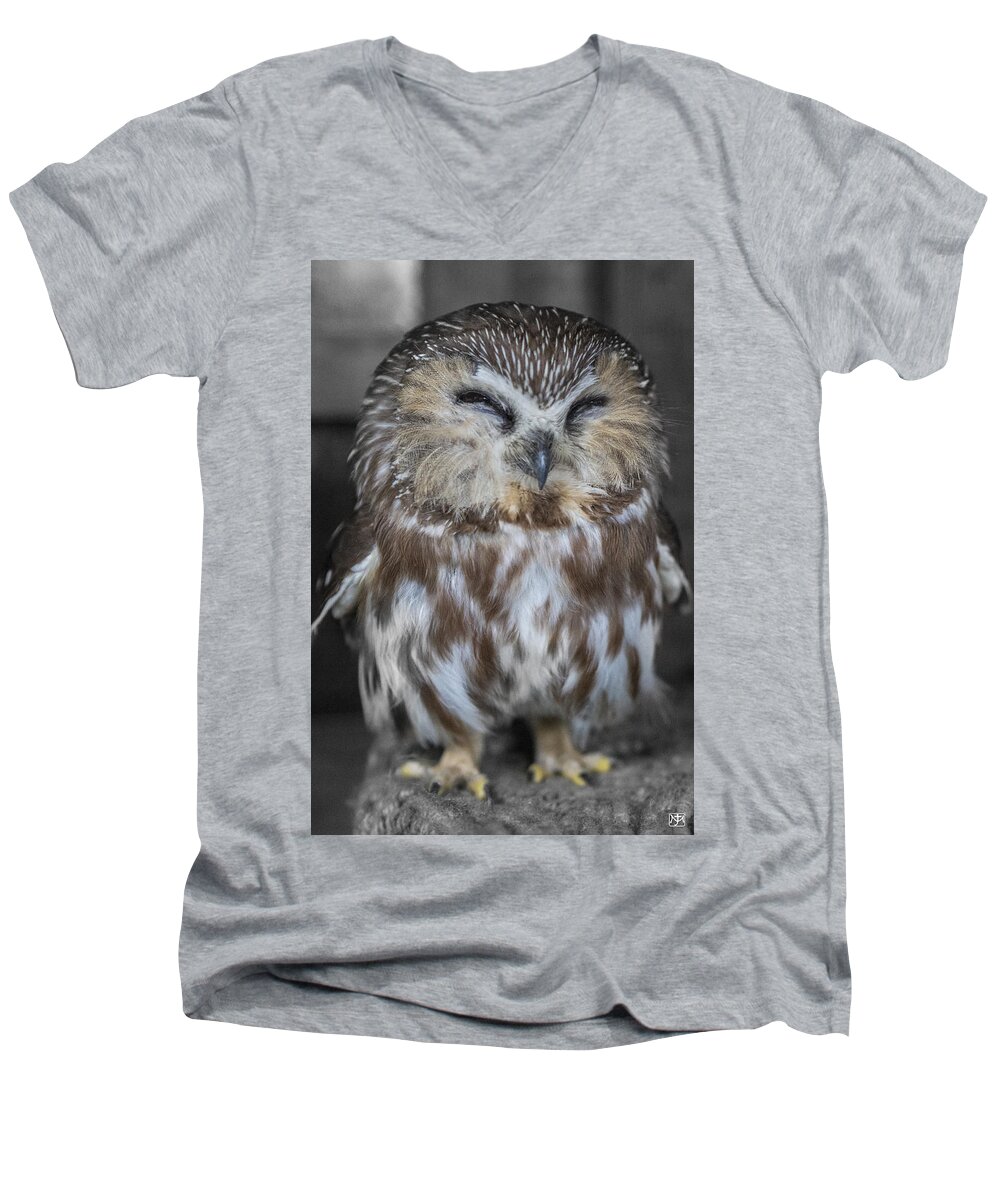 Owl Men's V-Neck T-Shirt featuring the photograph Saw Whet Owl by John Meader