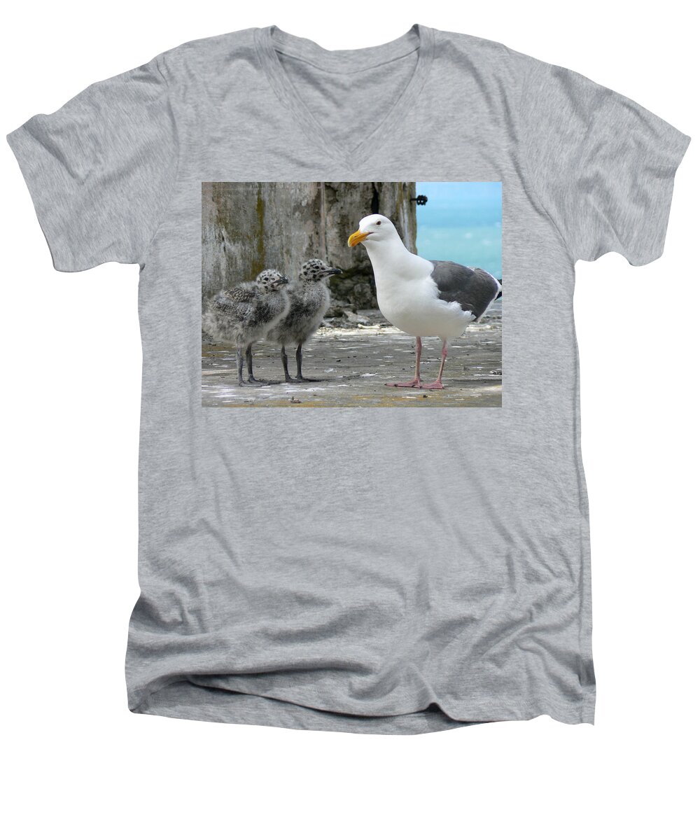 Seagull Men's V-Neck T-Shirt featuring the photograph Seagull Family by Laurel Powell
