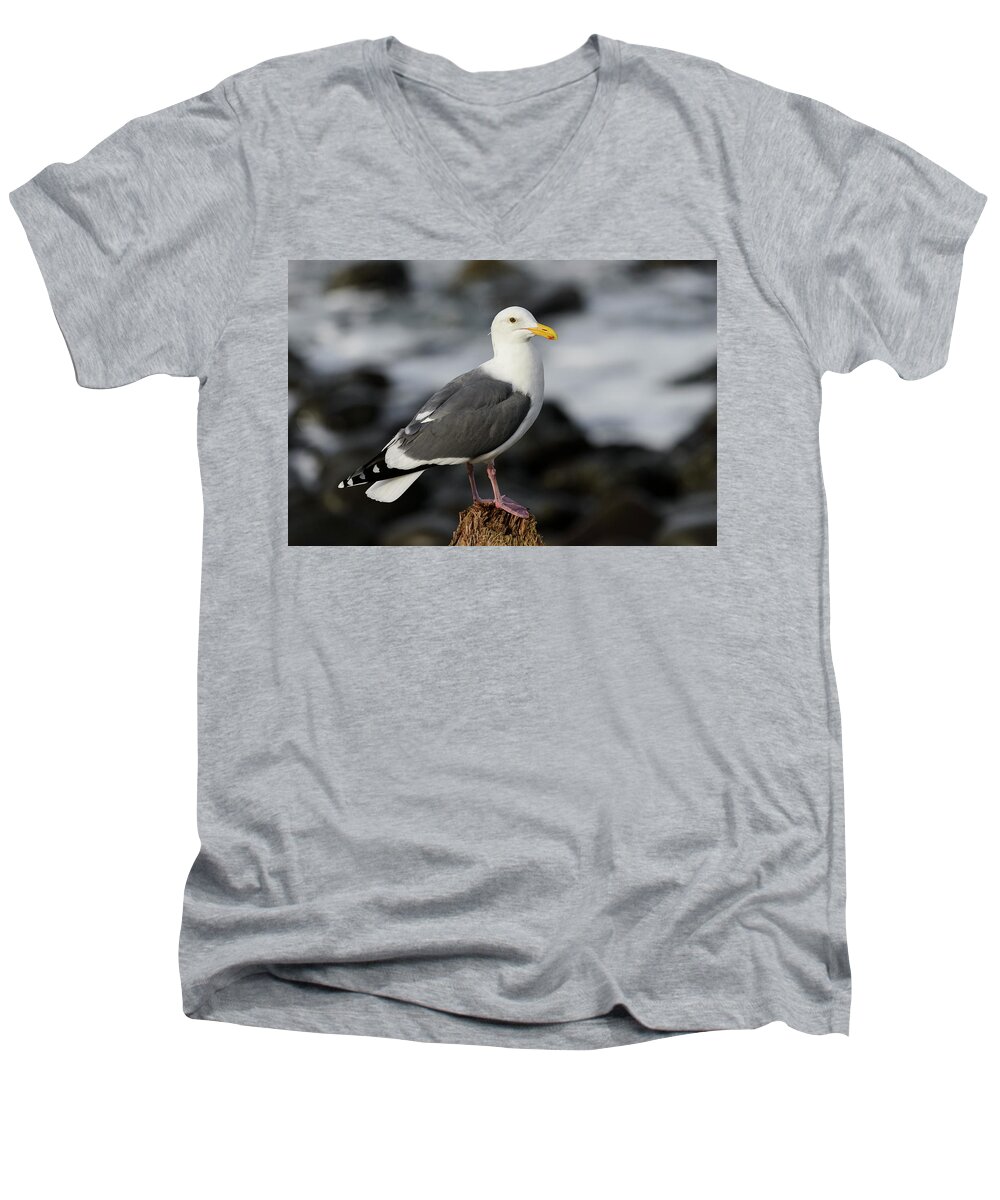 Coast Men's V-Neck T-Shirt featuring the photograph Seaside Western Gull by Robert Potts