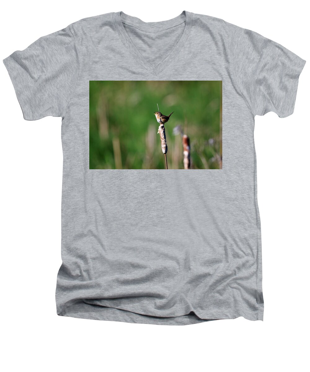 Gary Hall Men's V-Neck T-Shirt featuring the photograph Sedge Wren by Gary Hall
