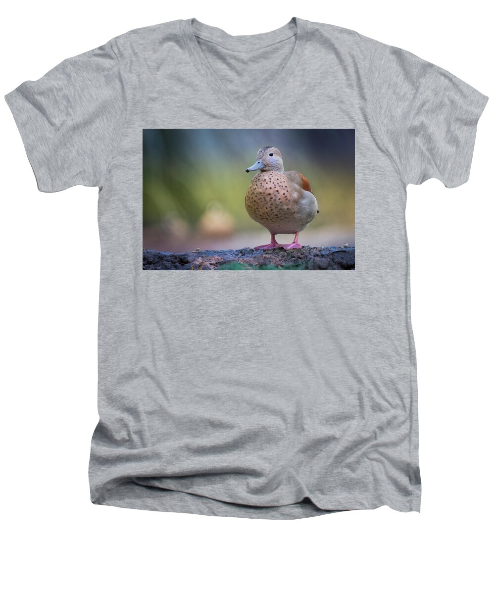 Photograph Men's V-Neck T-Shirt featuring the photograph Seriously Cute by Cindy Lark Hartman