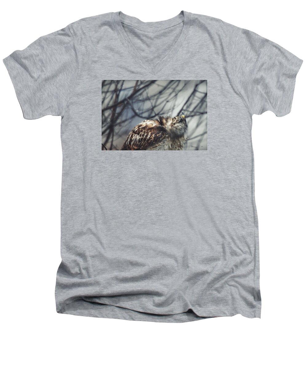 Hawk Men's V-Neck T-Shirt featuring the photograph Shake It Off by Steven Llorca